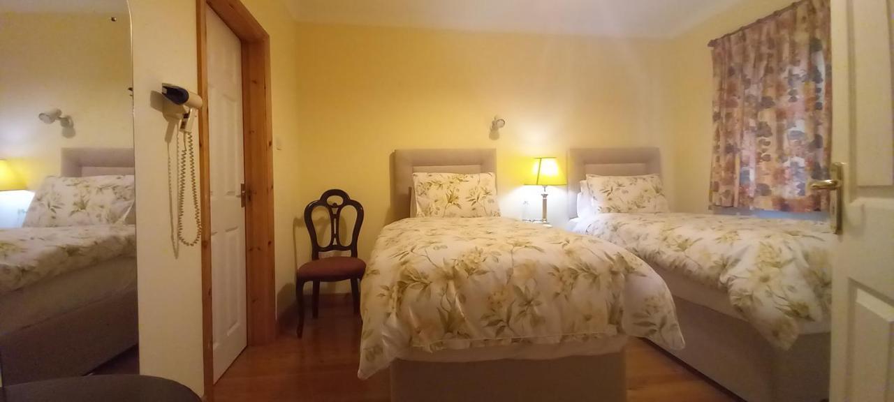 Готель Woodhaven Manor H91Rc9D Голвей Екстер'єр фото